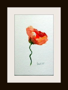 aquarell, mohnblume, watercolor, poppy