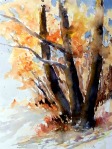 aquarell, watercolor, aquarelle, see, lake, lac, bäume, trees, arbres, landschaft, landscape, paysage, herbst, fall, autumn, automne, Bodensee